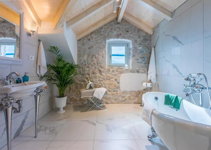 Jelena 诺维·维诺多尔斯基